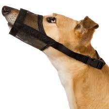 Adjustable Dog Muzzles - Pets Everywear - Barkyard