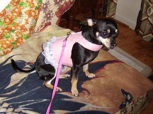 Pretty Pink Dog Harness Dress - Pets Everywear - Barkyard