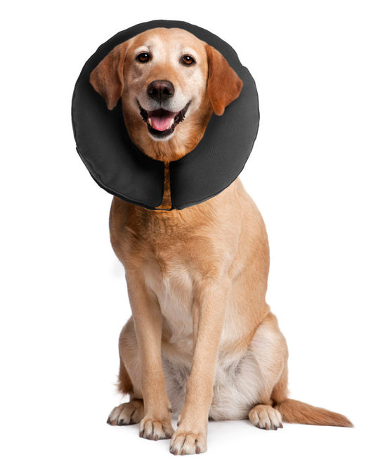 Protective Inflatable Collars