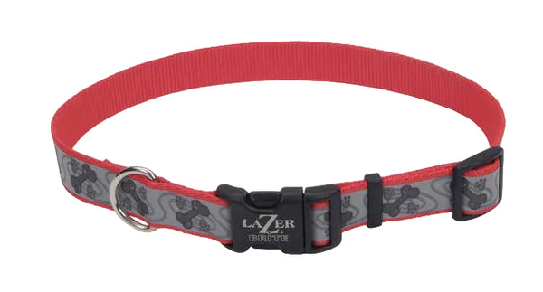 Lazerbrite red dog collar