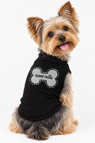 A small Yorkshire Terrier dog wearing a black pet shirt with a bone graphic and the text 'too cute' in script, photographed against a clean white studio background.