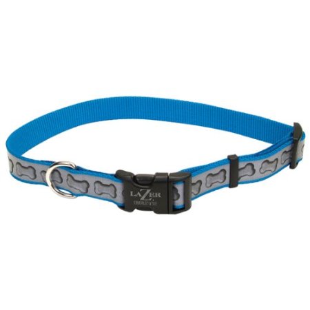 Blue Lagoon Lazerbrite collar