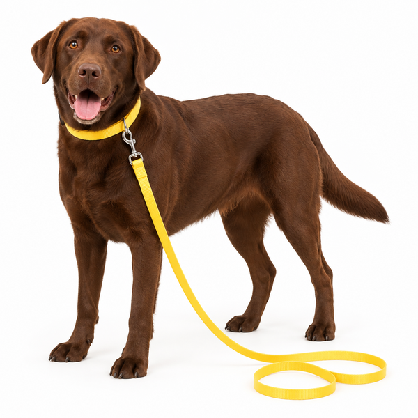 Coastal Dog Leads 120cm (4ft) Single Ply - Made USA.