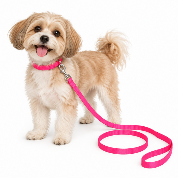 Coastal Dog Leads 120cm (4ft) Single Ply - Made USA.