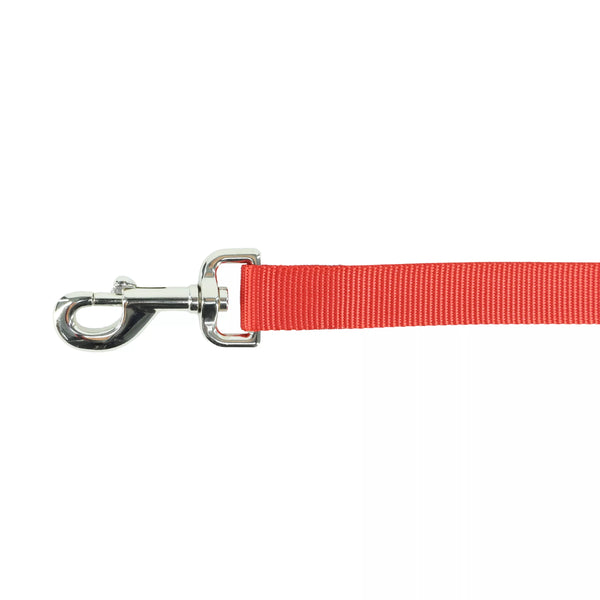 Medium Dog Lead - Coastal Pet Products 6ft (180cm) Long - Single Ply