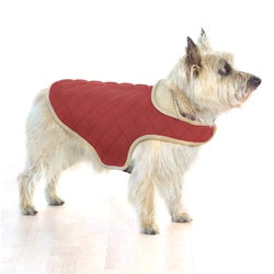 A dog wearing a red quilted warm jacket with a collar.