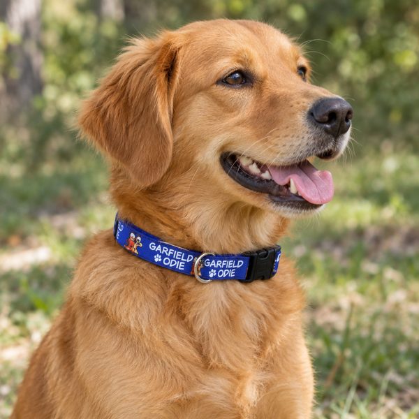 Garfield and Odie Dog Collar on dog