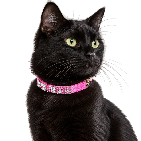 Pink Jewelled Cat Collar  on a black cat- Pets Everywear - Barkyard
