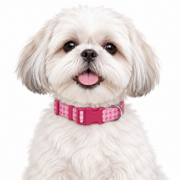 Pet Attire Cool Patterned Dog Collars