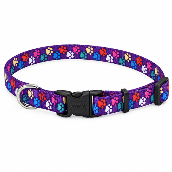 Purple Paws Dog Collar