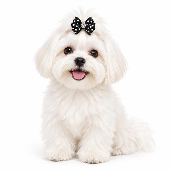 Black and white polka dot doggie hair clip
