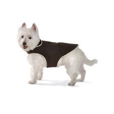 Dog Coat for Little Dogs