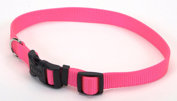 Coastal Tuff Buckle Dog Collars - Pets Everywear - Neon Pink