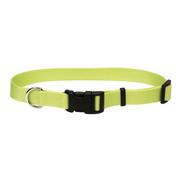 Coastal Tuff Buckle Dog Collars - Pets Everywear - Lime