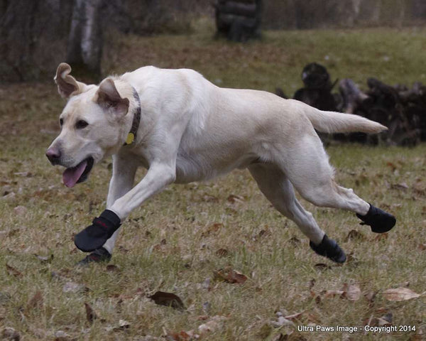 Ultra Paws Rugged Dog Boots - (Pk4) - Pets Everywear - Barkyard