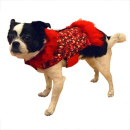 Madeline Fur Dog Coat XS-Harness - Pets Everywear - Barkyard