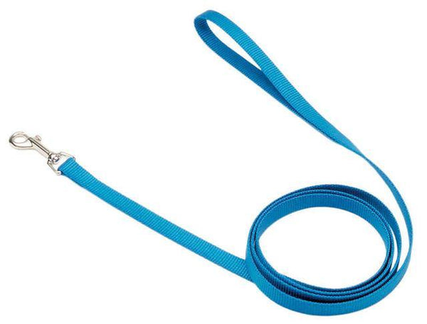 Coastal Blue lagoon Dog Lead.