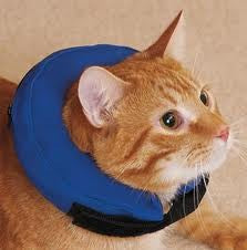 Inflatable Protective Zen Collar XS - Pets Everywear - Barkyard