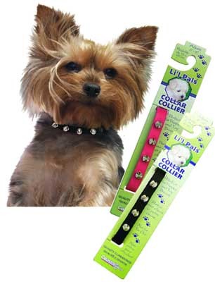 Li'l Pals Spiked Leather Dog Collar - Pets Everywear - Barkyard