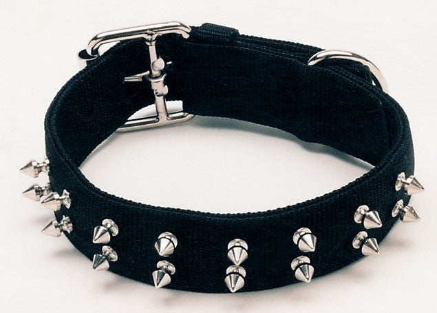 Spiked Dog Collar Black - 37mm - Pets Everywear - Barkyard