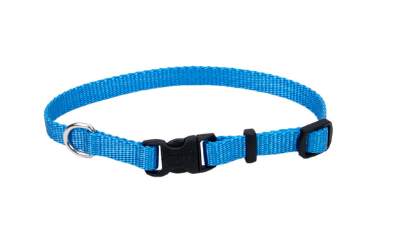Coastal Tuff Buckle Dog Collars - Pets Everywear - Blue Lagoon