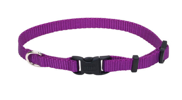 Coastal Tuff Buckle Dog Collars - Pets Everywear - Purple