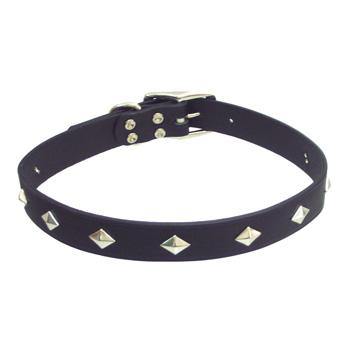 Black Leather Metal Studs Dog Collar 