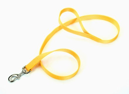 Coastal Buttercup Yellow Dog Lead 