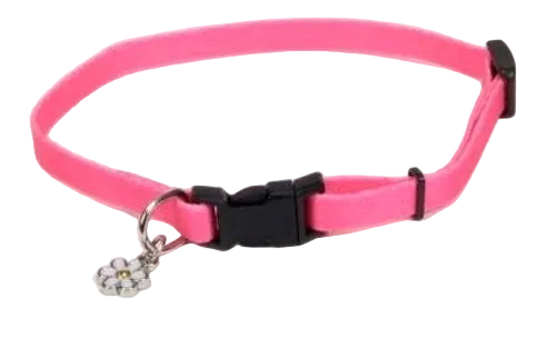 Neon Pink dog collar