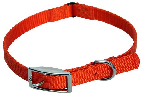 Coastal Pet Cat Collars with Safety Loop - Pets Everywear - Barkyard