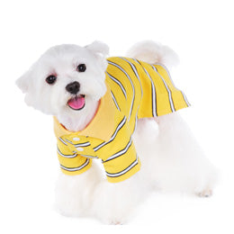 Dog Striped Polo Short - Lg - Pets Everywear - Barkyard