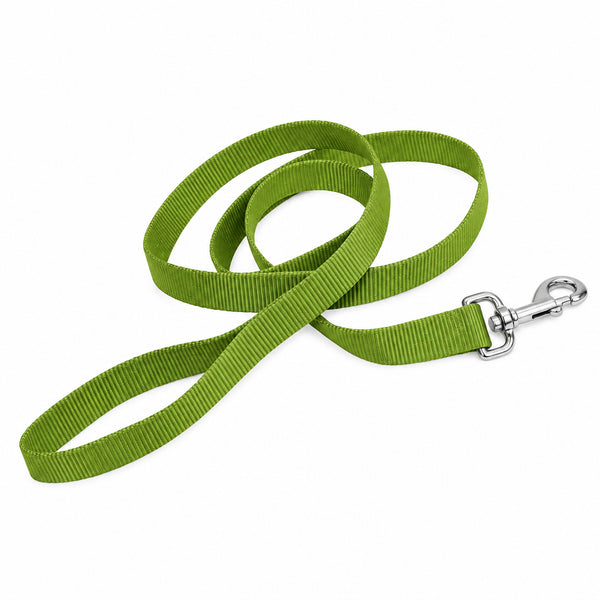 Coastal Palm Green large Dog Lead - 25mm