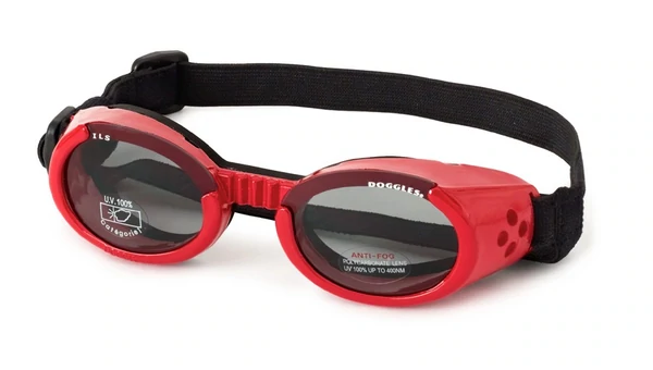 Red Large Doggles-