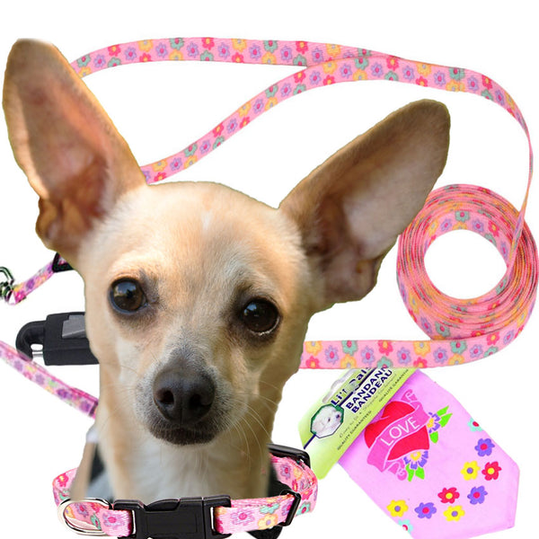 Li'l Pals Pink Daisy Multi Dog Collars - Pets Everywear - Barkyard