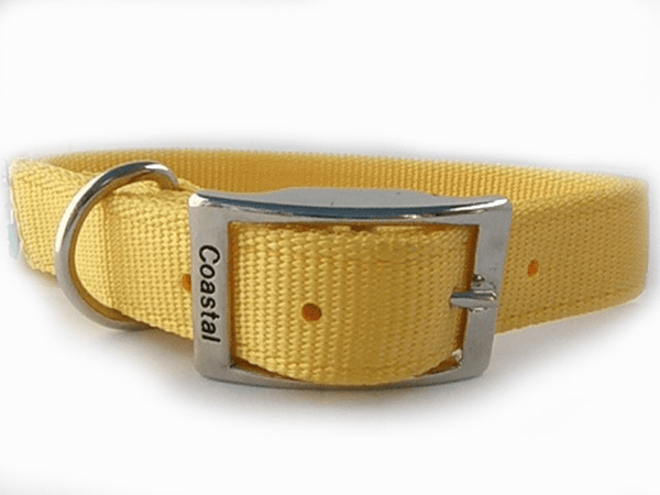 Coastal Dog Collars - Heavy Duty Double Ply 25mm - Pets Everywear - Barkyard