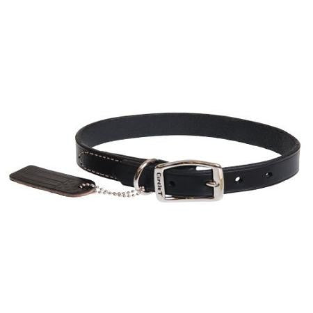 Oak Tanned Black Leather Collar 25mm - Pets Everywear - Barkyard