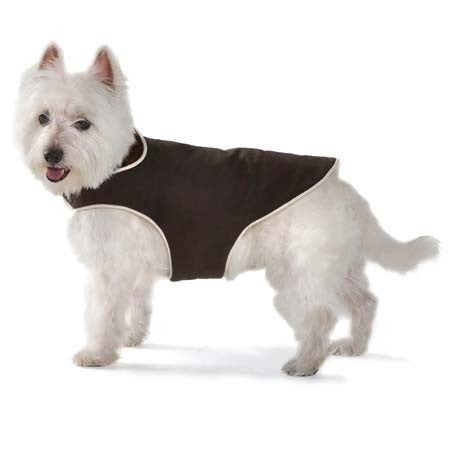 Dog Gone Dog Coats - Pets Everywear - Barkyard