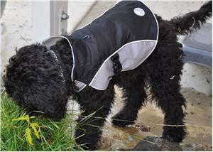 Dog Raincoat - Pets Everywear - Barkyard