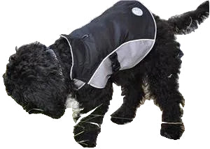 Dog Raincoat - Pets Everywear - Barkyard