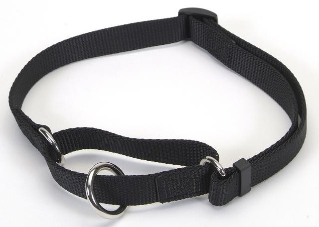Coastal Martingale No-Slip Dog Training Collar 35 - 50cm - Pets Everywear - Barkyard