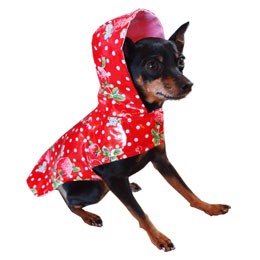 Hi-Fashion US Dog Raincoat - Strawberry - Pets Everywear - Barkyard