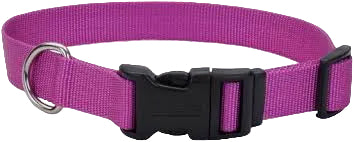 Ochid Colour Coastal Tuff Buckle Dog Collars